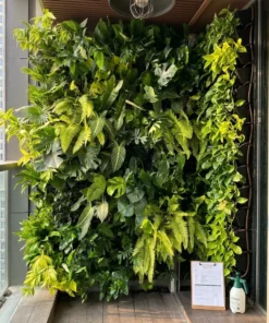 Gói bảo dưỡng tường cây 12 tháng — 12-month green wall maintenance plan