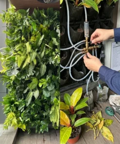 Gói bảo dưỡng tường cây 6 tháng — 6-month green wall maintenance plan