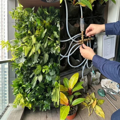 6-month green wall maintenance plan