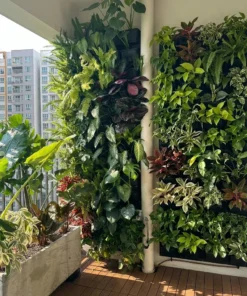 Gói decor tường cây Bền Vững cho ban công dày lá — evergreen green wall decor package