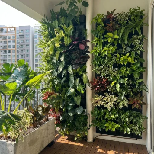 Evergreen — year-round balcony green wall package