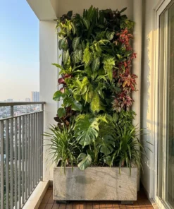Gói decor tường cây Tiêu Chuẩn cho ban công 2m² — standard green wall decor package