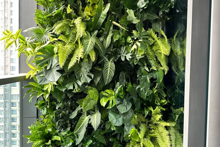Lợi ích tuyệt vời của tường cây ban công – balcony green wall