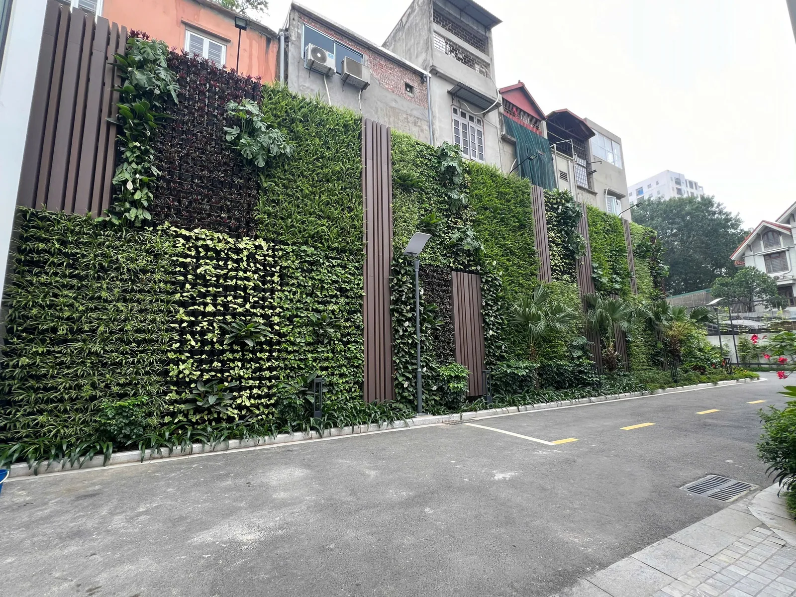 outdoor green wall VPS Hà Nội với lớp cây nhiệt đới ngoài trời