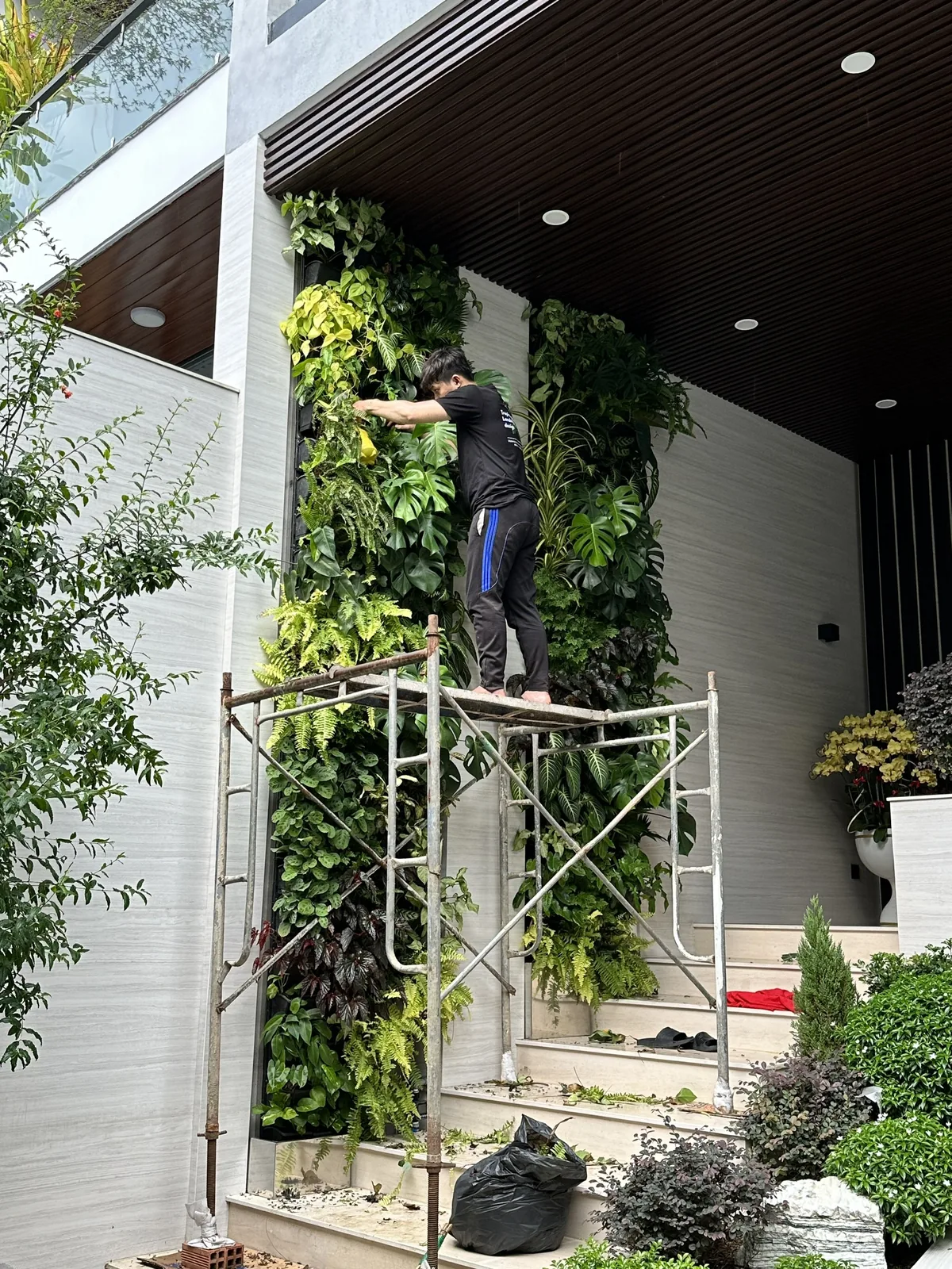 townhouse green wall hai bên mặt tiền nhà phố