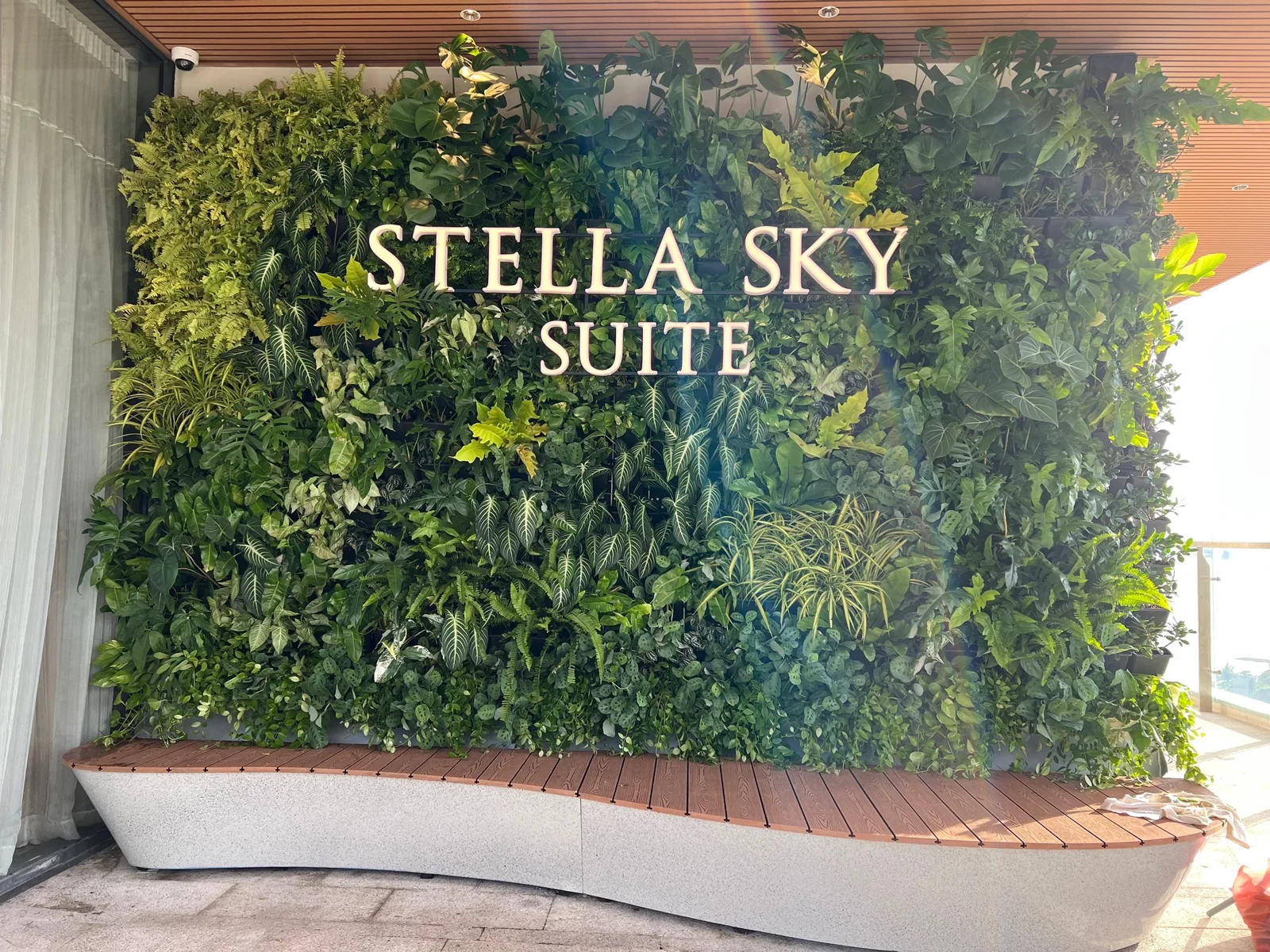 tường cây President Suite Stella Sky Suite với chữ nổi trên nền cây nhiệt đới