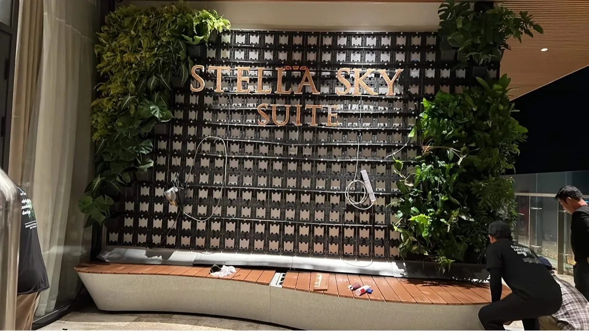 tường cây President Suite Stella Sky Suite trong giai đoạn phủ cây và gắn chữ