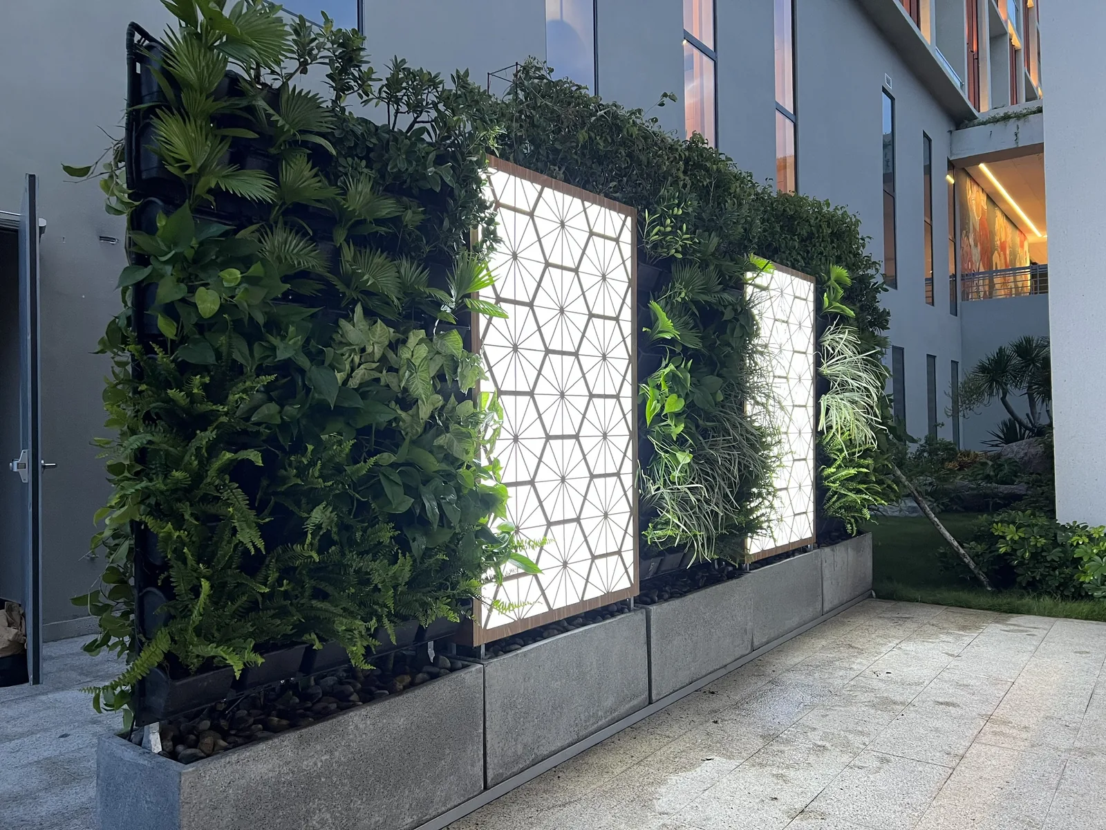reception green wall Stella Sky Suite với ô sáng trang trí giữa lớp cây xanh