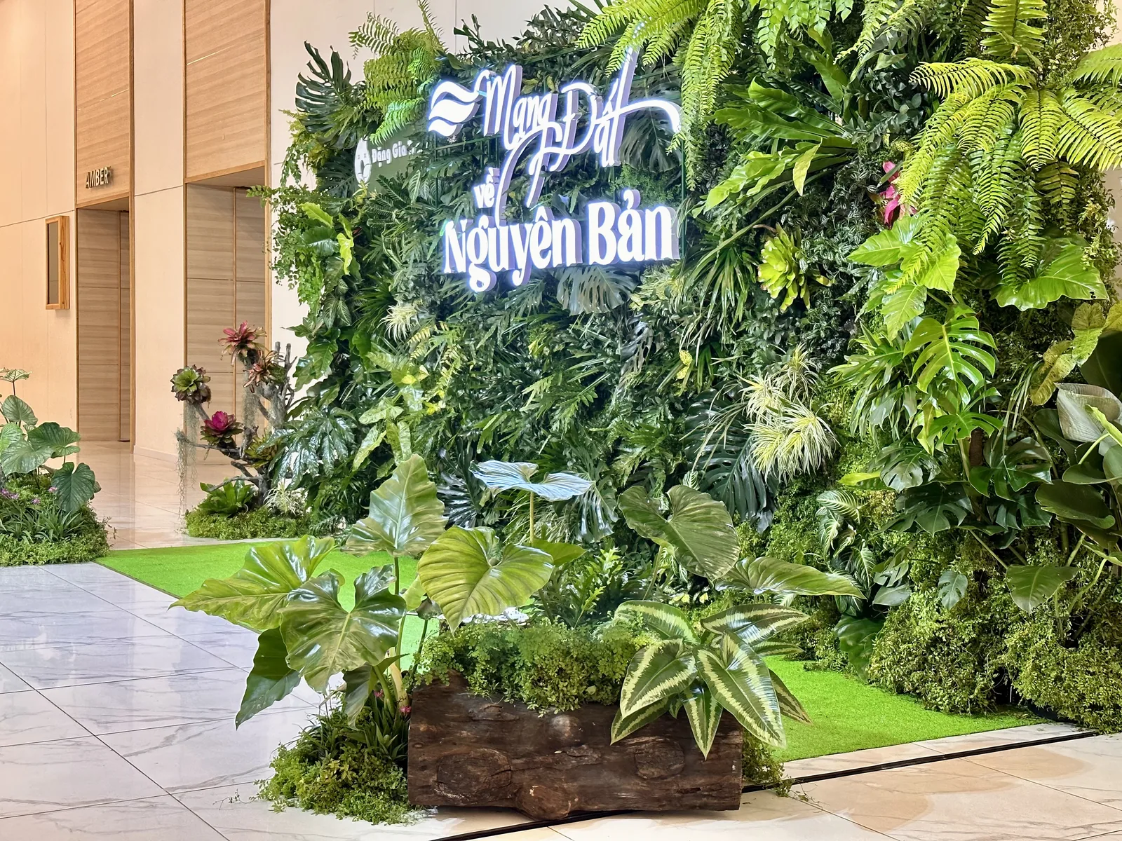 15m2 live green wall behind the Dang Gia Trang anniversary stage