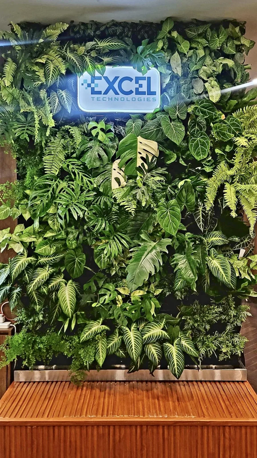 indoor vertical garden văn phòng Excel với đèn trồng cây gắn tay đòn