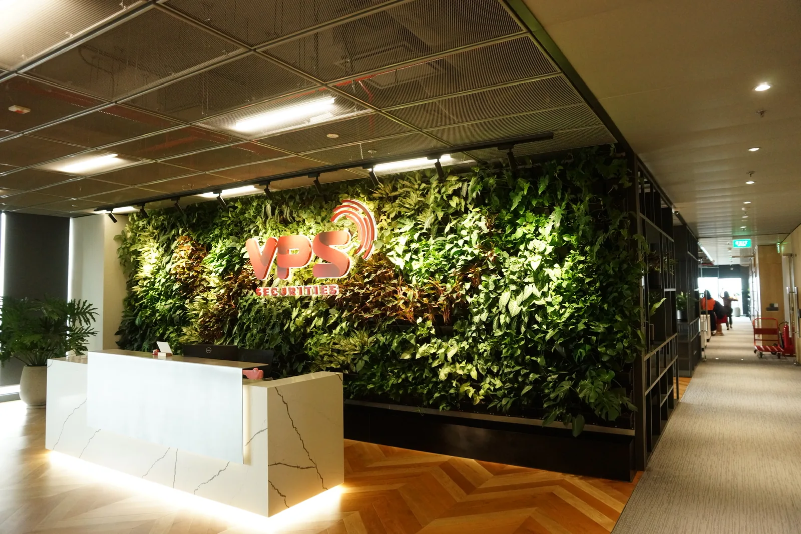 VPS The Hallmark office green wall behind the reception desk