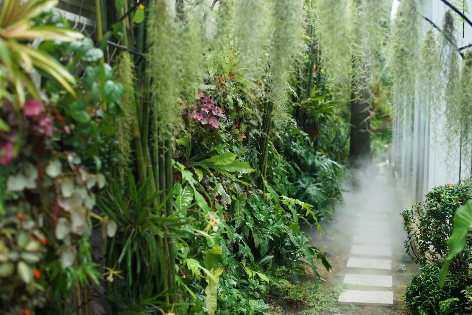 Driftwood green wall running along the covered passage at Xuan Thuy Villa