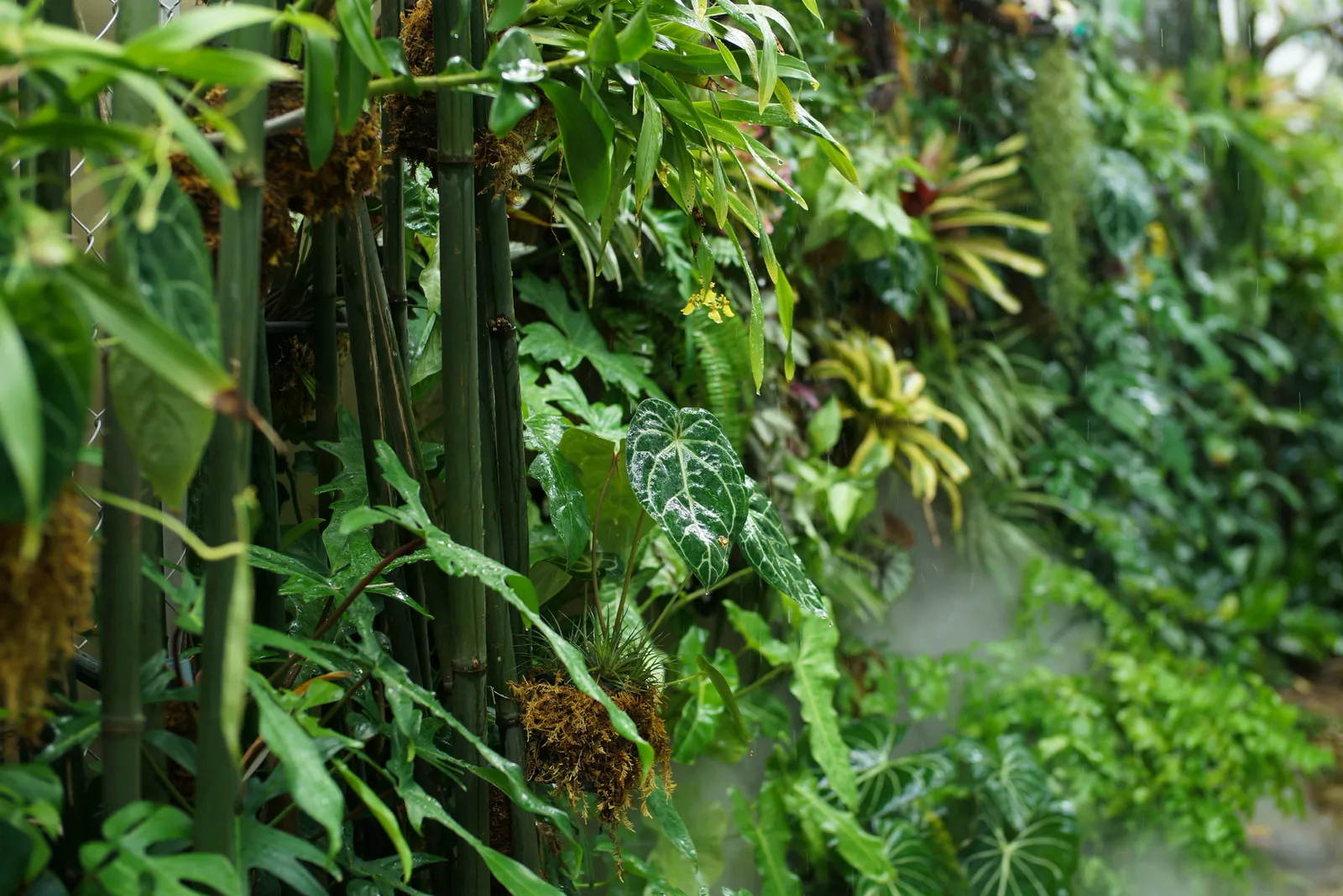 Layered tropical planting and real wood in the villa driftwood wall