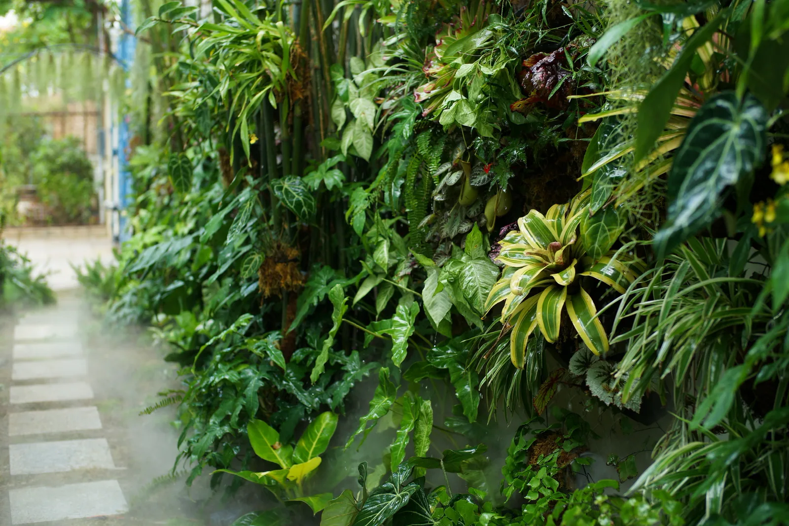 Tropical foliage arranged around natural driftwood branches