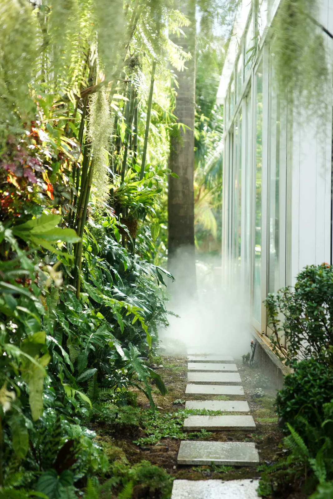 Vertical view of the driftwood green wall and its layered foliage